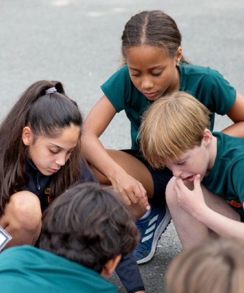 News » Junior school students take on team building challenges